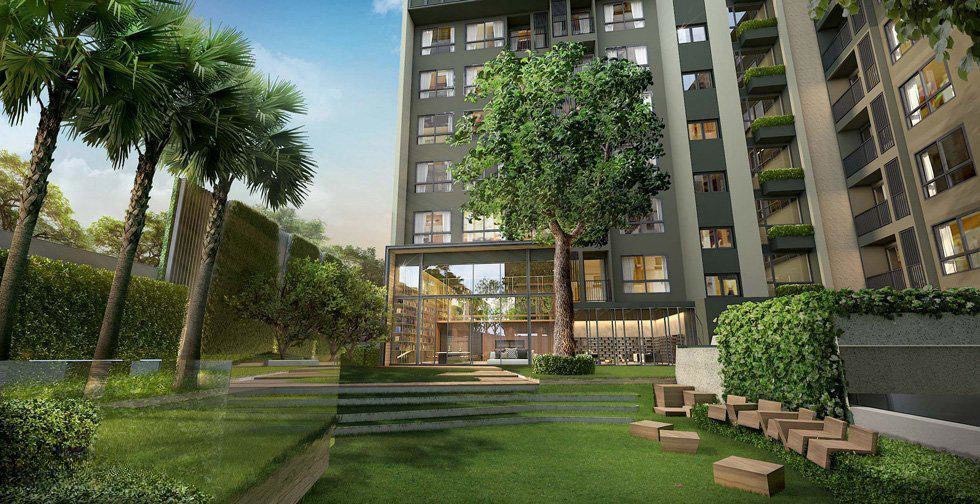 The Tree Sukhumvit 64 公寓出售｜带现有租客｜近 BTS Punnawithi