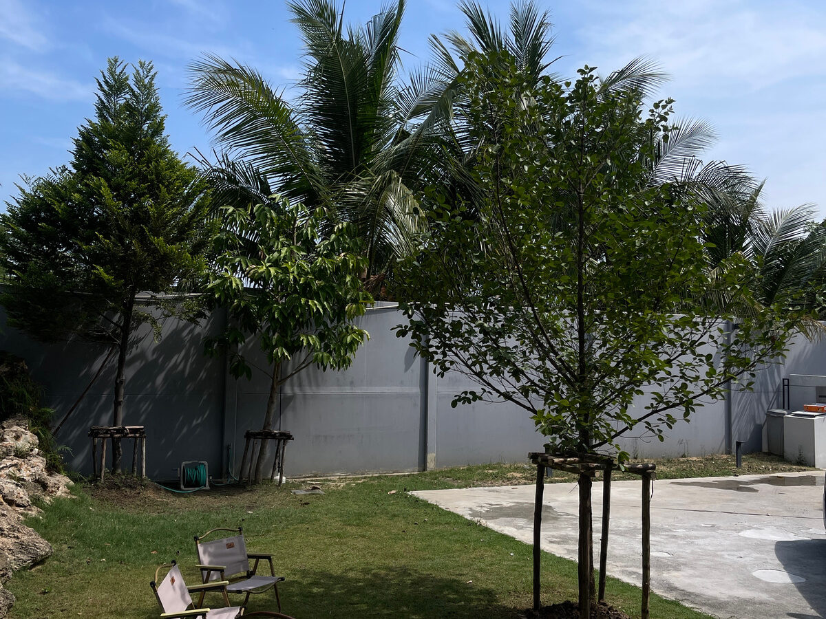 Luxury Detached House for Rent | Bangkok Boulevard Rama 5